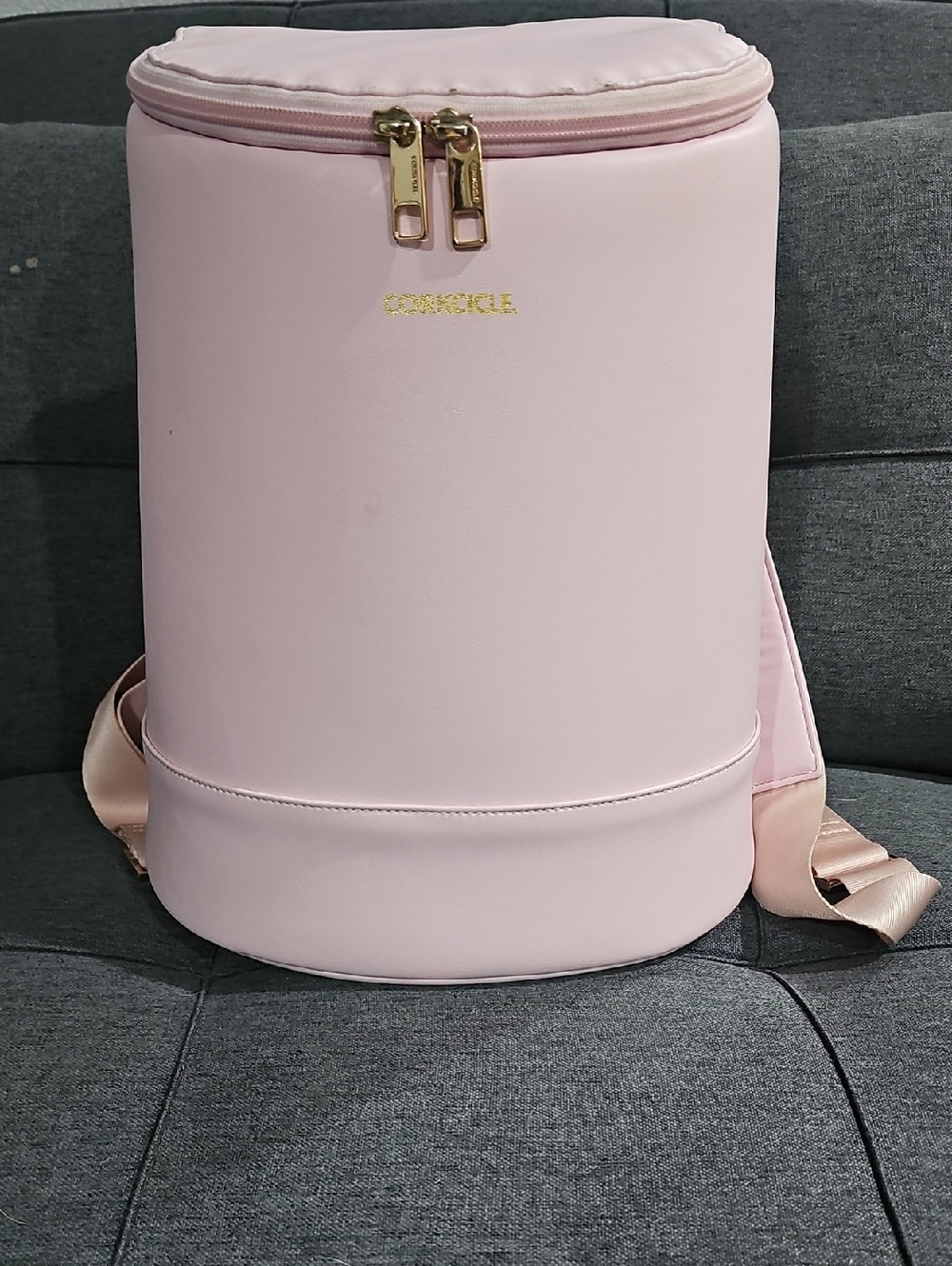 Corkcicle Pale Pink Insulated Backpack with Gold Hardware